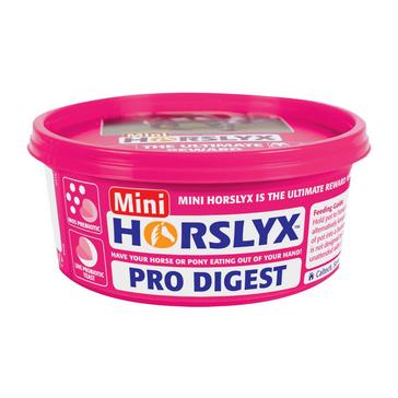 Pink Horslyx Mini Pro Digest