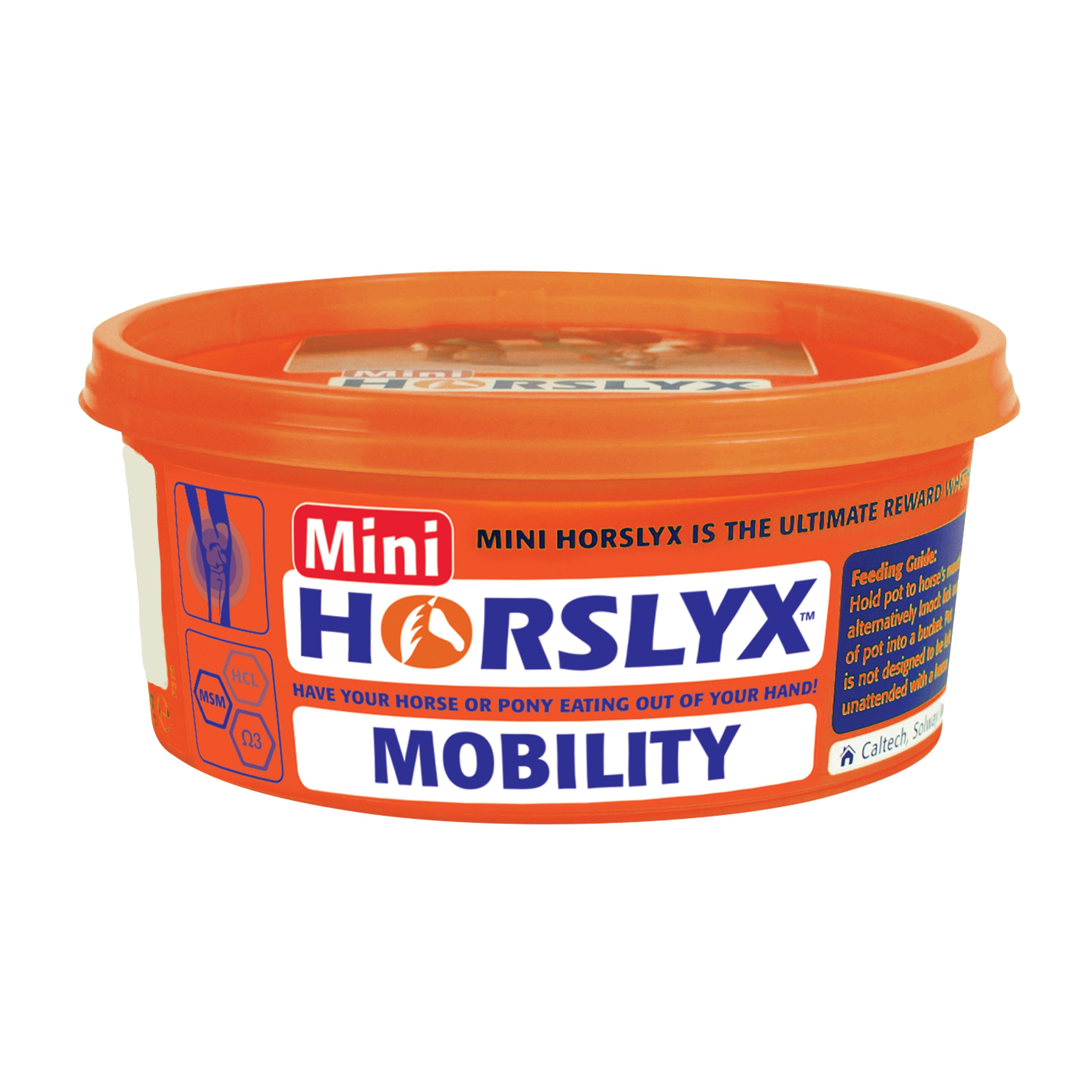 Mini Mobility
