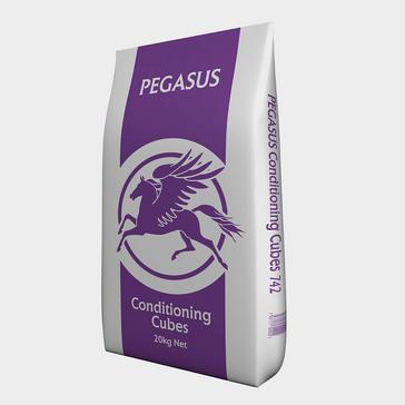 Clear Pegasus Conditioning Cubes 20kg