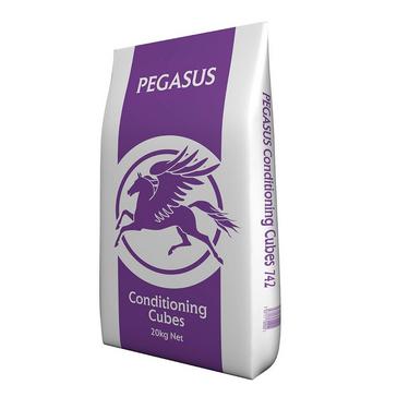 Clear Pegasus Conditioning Cubes 20kg