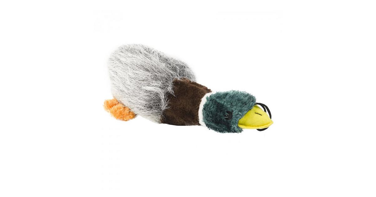 Honking duck 2024 dog toy