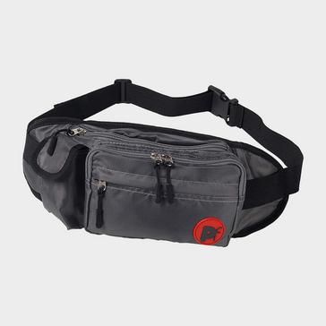 Grey Petface Dog Walk Bum Bag Grey