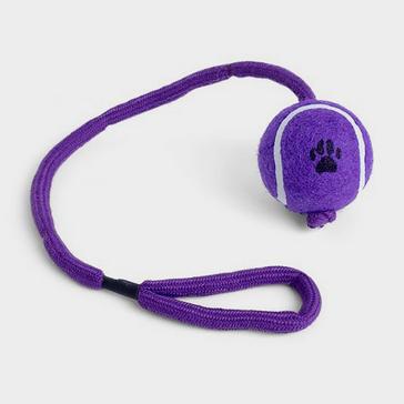 Assorted Petface Ball On A Rope