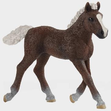  Schleich Black Forest Foal
