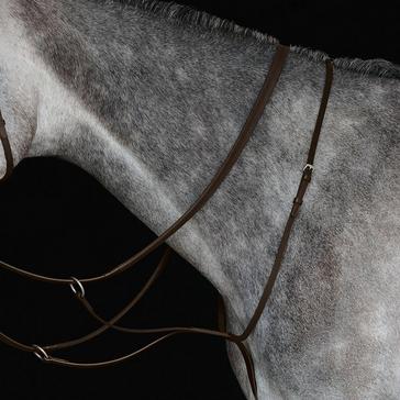 Brown Collegiate Running Martingale