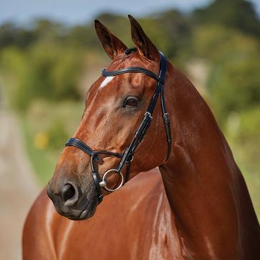 Black Collegiate ComFiTec Training Bridle Black