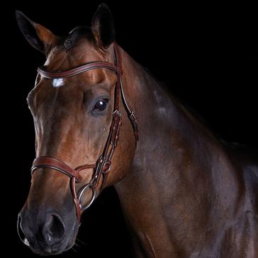 Brown Collegiate ComFiTec Training Bridle Brown