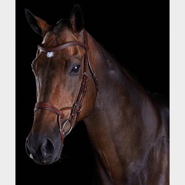Brown Collegiate ComFiTec Training Bridle