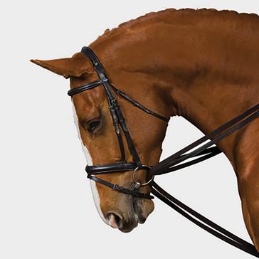 Black Kincade Webbed Draw Reins Black