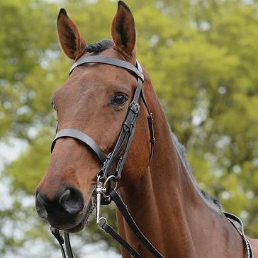 Brown Kincade Show Weymouth Bridle Brown