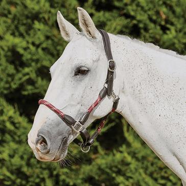 Red Kincade Leather Headcollar Burgundy