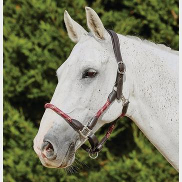 Red Kincade Leather Headcollar Burgundy