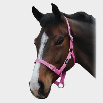 Pink Saxon Economy Headcollar Pink