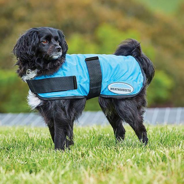 Blue WeatherBeeta Therapy-Tec Cooling Dog Coat Blue image 1