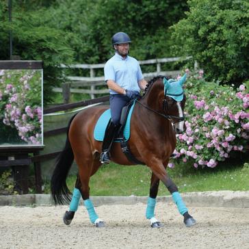 Green WeatherBeeta Prime Fly Veil Turquoise