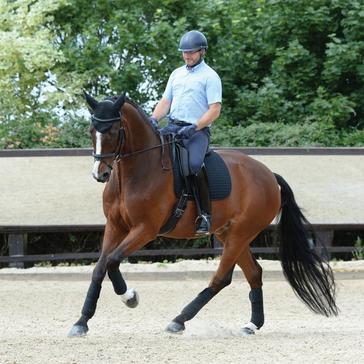 Black WeatherBeeta Prime Dressage Saddle Pad Black