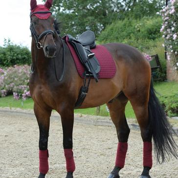 Burgundy WeatherBeeta Prime Dressage Saddle Pad Maroon