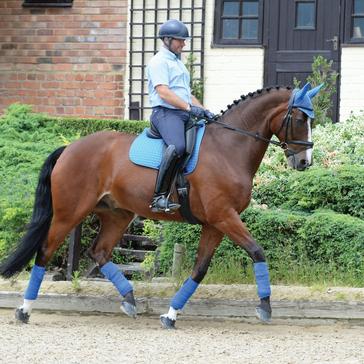 Blue WeatherBeeta WeatherBeeta Prime Dressage Saddle Pad Royal Blue