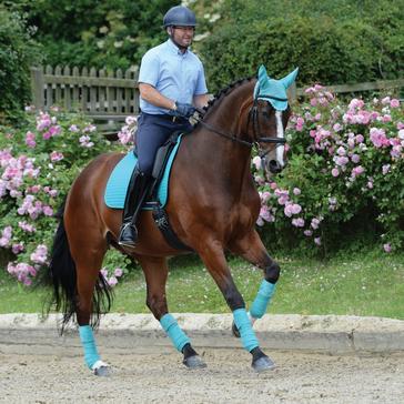 Blue WeatherBeeta Prime Dressage Saddle Pad Turquoise