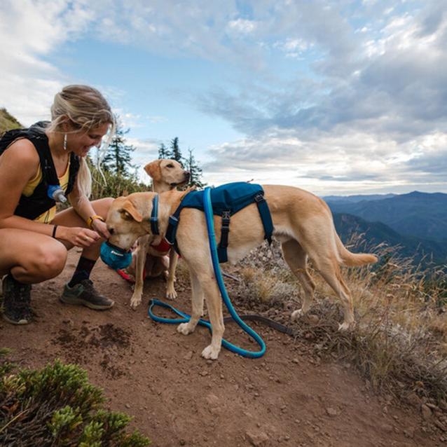 Ruffwear hiking harness sale