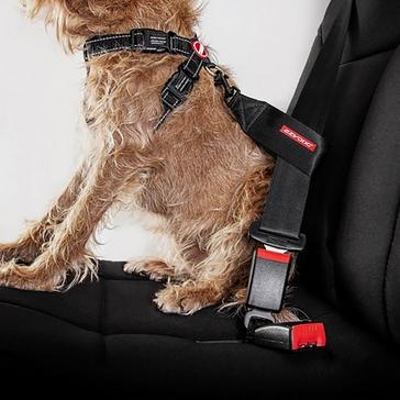 BLACK EzyDog Dog Seat Belt Restraint