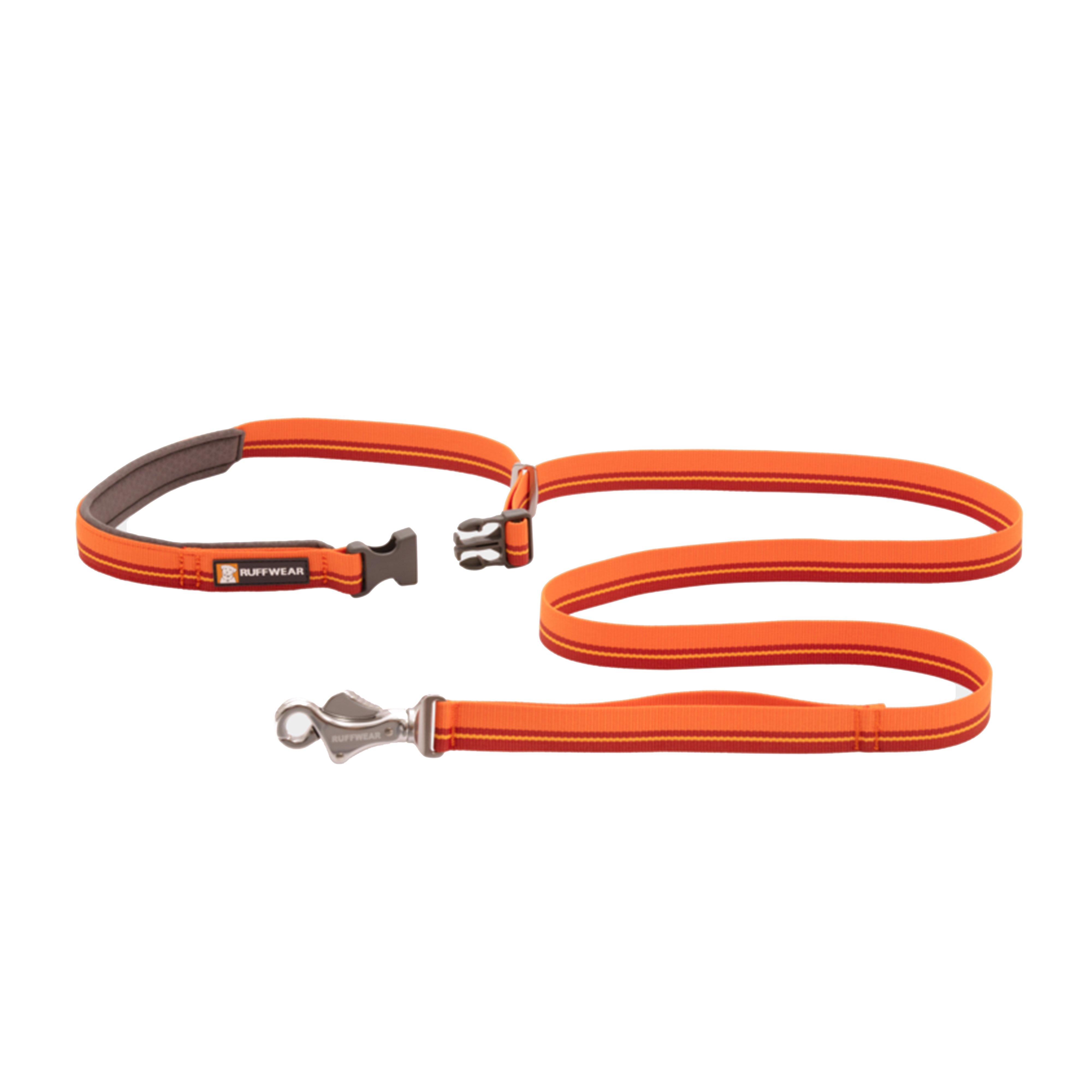 Flat Out Adjustable Dog Lead Orange