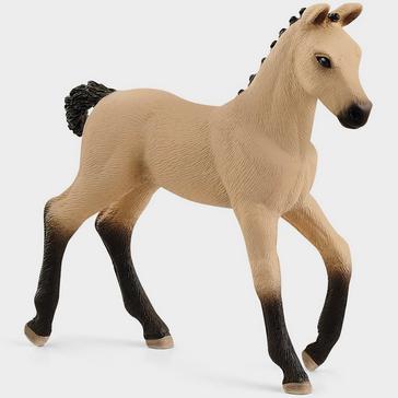 Beige/Cream Schleich Hannoverian Foal 2021