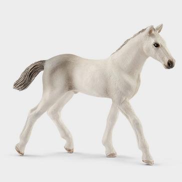 Multi Schleich Holsteiner Foal