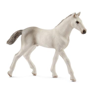 Multi Schleich Holsteiner Foal