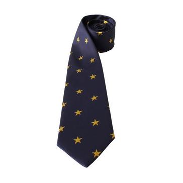 Blue Equetech Childs Stars Show Tie Navy/Gold