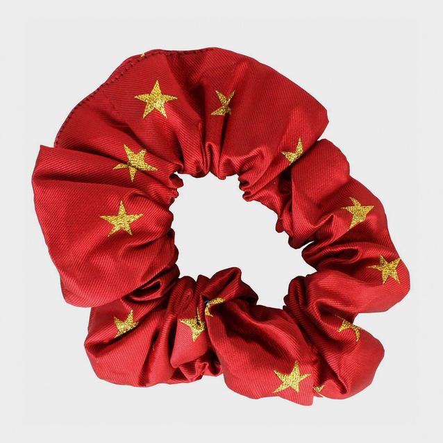 Red Equetech Childs Stars Show Scrunchie Red/Gold image 1