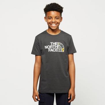 Grey The North Face Kids' Easy Tee