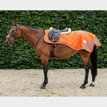 Orange EQUI-FLECTOR Mesh Exercise Sheet Orange