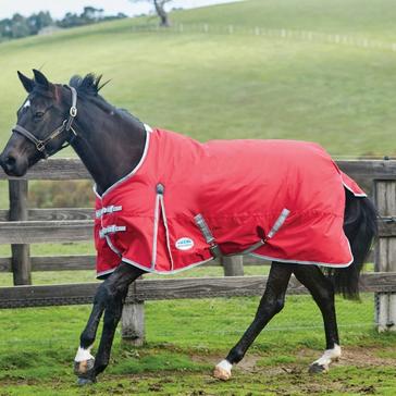 Red WeatherBeeta ComFiTec Classic 220g Medium Weight Standard Neck Turnout Rug Red/Silver