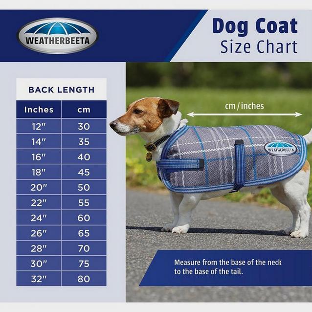 Medium sized dog sales coats