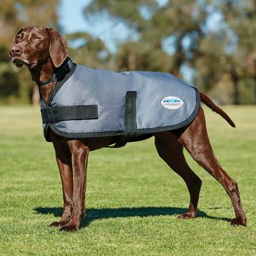 Green WeatherBeeta ComFiTec Classic 100g Lightweight Dog Coat Dark Grey