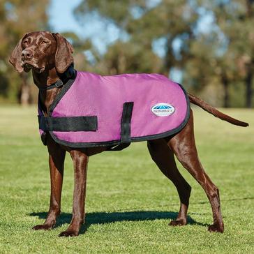 Pink WeatherBeeta ComFiTec Classic 100g Lightweight Dog Coat Pink