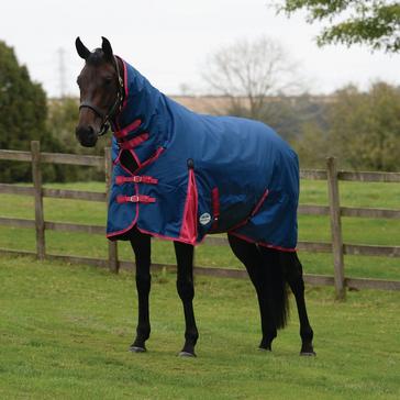 ComFiTec Classic 220g Medium Weight Combo Turnout Rug Blueberry/Pink