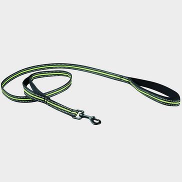 Green WeatherBeeta Reflective Dog Lead