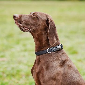 Black WeatherBeeta Elegance Dog Collar Black