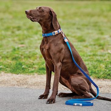 Blue WeatherBeeta Elegance Dog Lead Blue