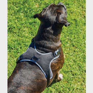 Black WeatherBeeta Elegance Dog Harness Black