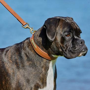 Brown WeatherBeeta Leather Dog Lead Tan