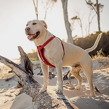 Red EzyDog Chest Plate Dog Harness Red Small