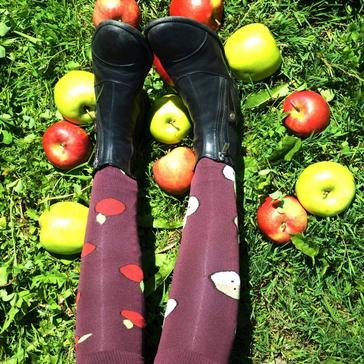 Burgundy Comodo Novelty Socks Apples