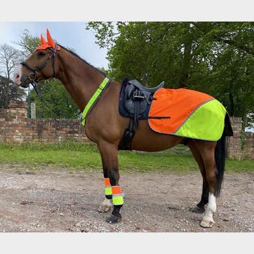 Shop Equestrian Hi Vis Clothing & Reflective Wear