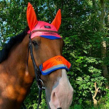 Multi Equisafety Charlotte Dujardin Multi-Coloured Nose Band Pink/Orange