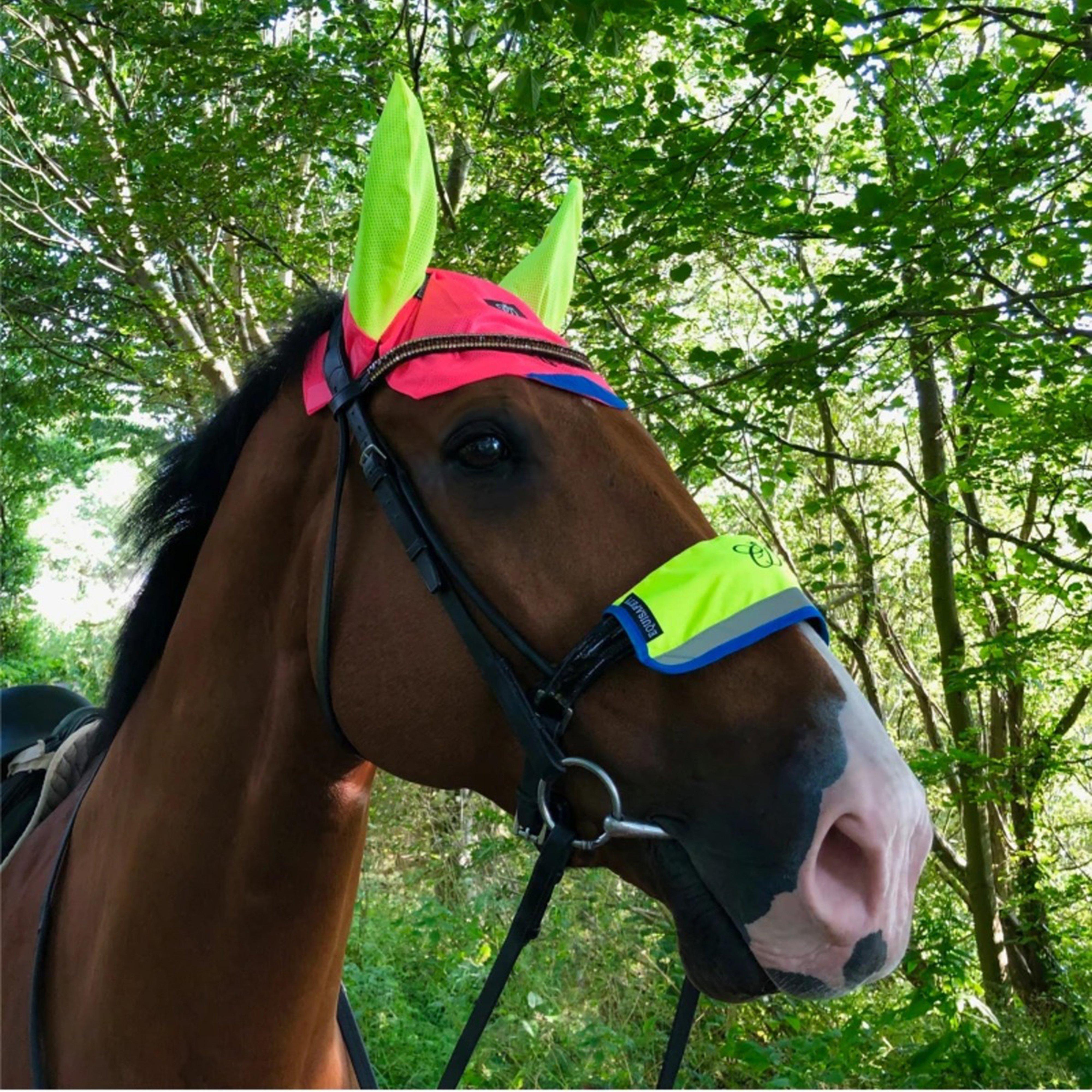 Charlotte Dujardin Reflective Multi-Coloured Mesh Horse Ears Pink/Yellow