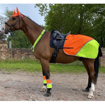 Multi Equisafety Charlotte Dujardin Reflective Multi-Coloured Mesh Horse Ears Yellow/Orange