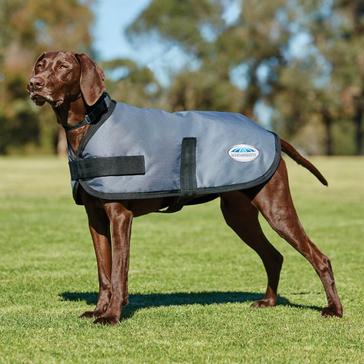 Mark todd hotsell dog coat